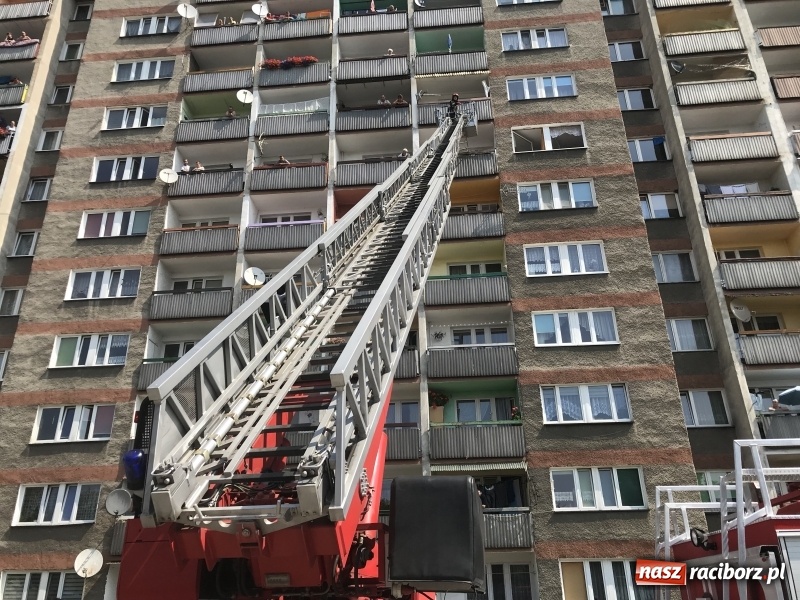 Zdjęcie w galerii na portalu naszraciborz.pl: Spalona potrawa postawiła na nogi cztery zastępy strażaków wiadomości z regionu