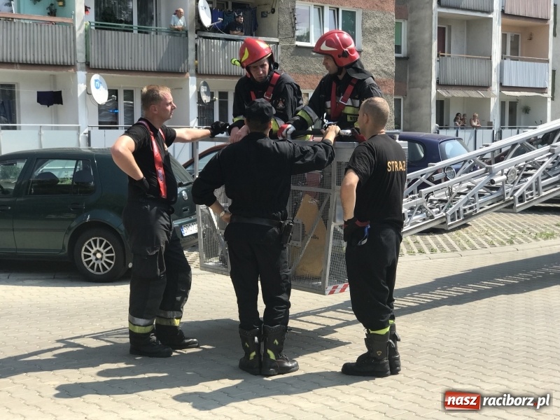 Zdjęcie w galerii na portalu naszraciborz.pl: Spalona potrawa postawiła na nogi cztery zastępy strażaków wiadomości z regionu