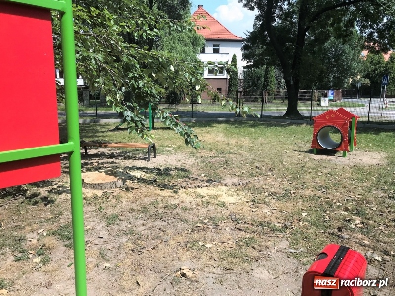 Zdjęcie w galerii na portalu naszraciborz.pl: Przy Warszawskiej powstał wybieg dla psów wiadomości z regionu