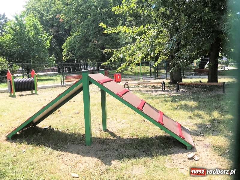 Zdjęcie w galerii na portalu naszraciborz.pl: Przy Warszawskiej powstał wybieg dla psów wiadomości z regionu