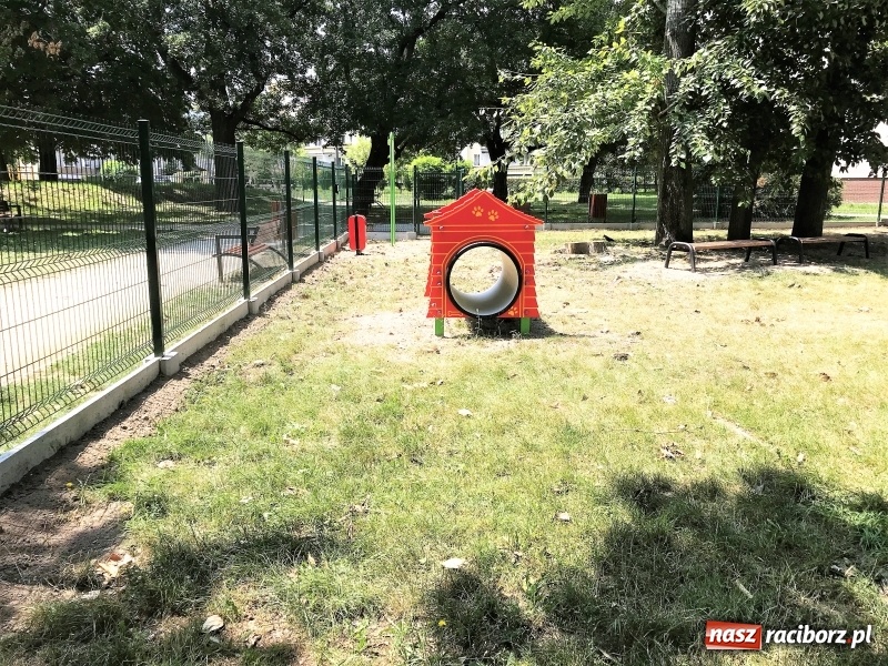 Zdjęcie w galerii na portalu naszraciborz.pl: Przy Warszawskiej powstał wybieg dla psów wiadomości z regionu