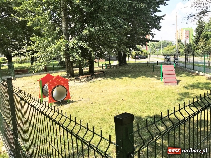 Zdjęcie w galerii na portalu naszraciborz.pl: Przy Warszawskiej powstał wybieg dla psów wiadomości z regionu