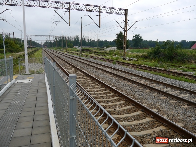 Zdjęcie w galerii na portalu naszraciborz.pl: Widoczne efekty prac na LK151 Kędzierzyn-Koźle - Chałupki wiadomości z regionu