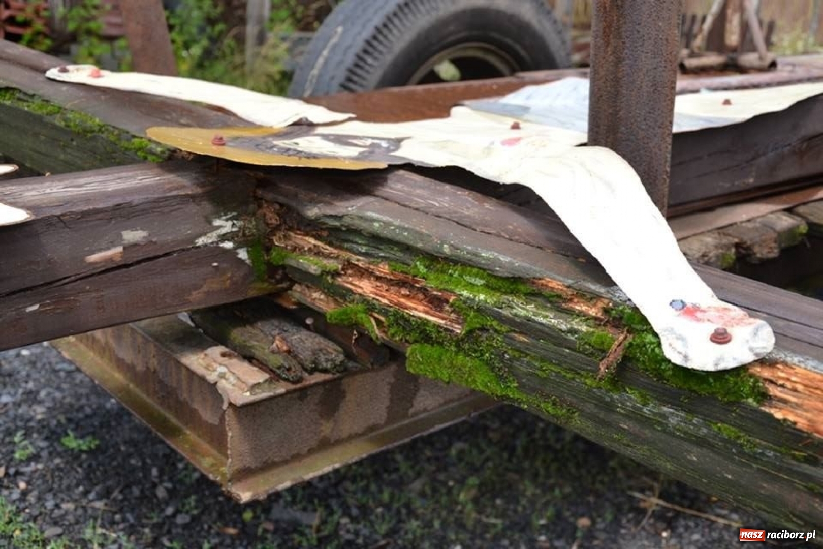 Zdjęcie w galerii na portalu naszraciborz.pl: Krzyż, który upamiętnia morderstwo  wiadomości z regionu