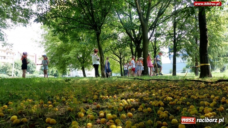 Zdjęcie w galerii na portalu naszraciborz.pl: Lato z biblioteką. Misiowy wtorek, potworny czwartek wiadomości z regionu