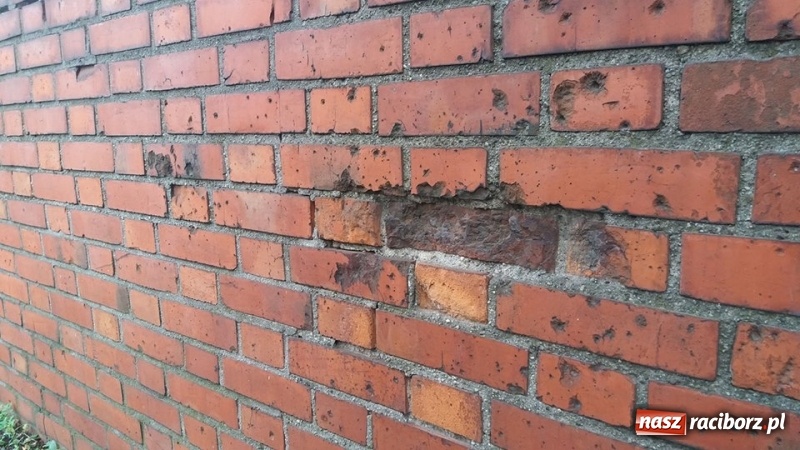 Zdjęcie w galerii na portalu naszraciborz.pl: ODRA 1945 tropi w Raciborzu ślady II wojny światowej  wiadomości z regionu