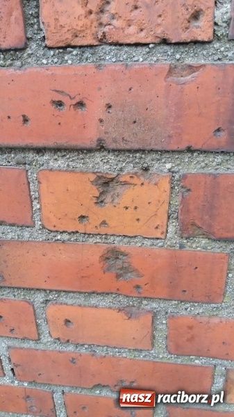 Zdjęcie w galerii na portalu naszraciborz.pl: ODRA 1945 tropi w Raciborzu ślady II wojny światowej  wiadomości z regionu