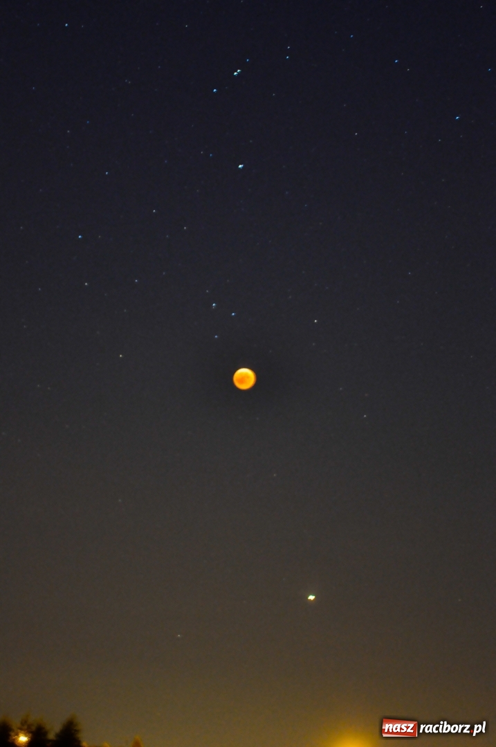 Zdjęcie w galerii na portalu naszraciborz.pl: Całkowite zaćmienie Księżyca nad Raciborzem  wiadomości z regionu