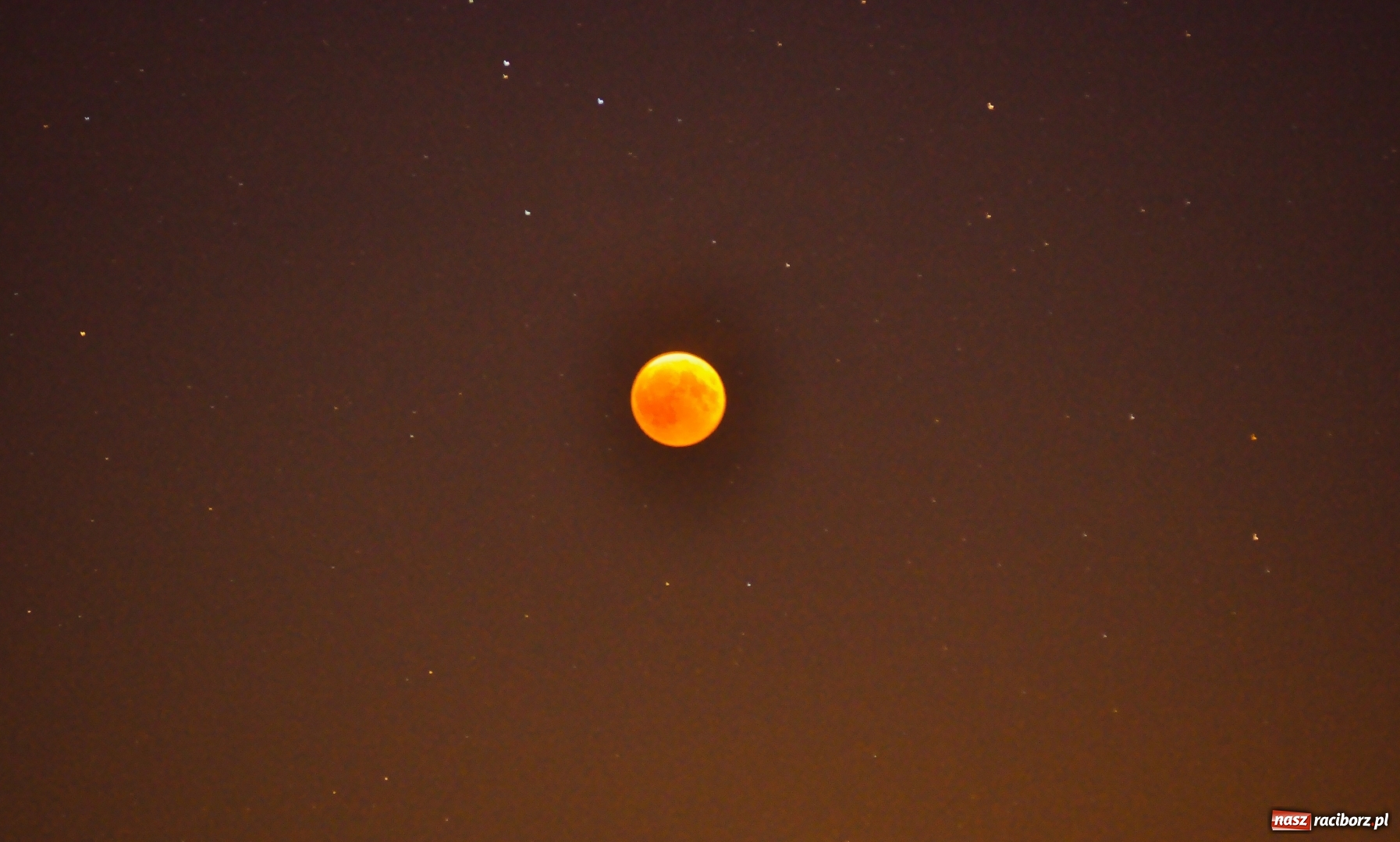 Zdjęcie w galerii na portalu naszraciborz.pl: Całkowite zaćmienie Księżyca nad Raciborzem  wiadomości z regionu