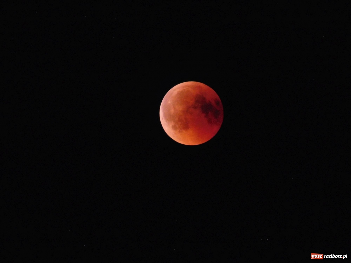 Zdjęcie w galerii na portalu naszraciborz.pl: Zaćmienie Księżyca nad raciborskimi bulwarami  wiadomości z regionu