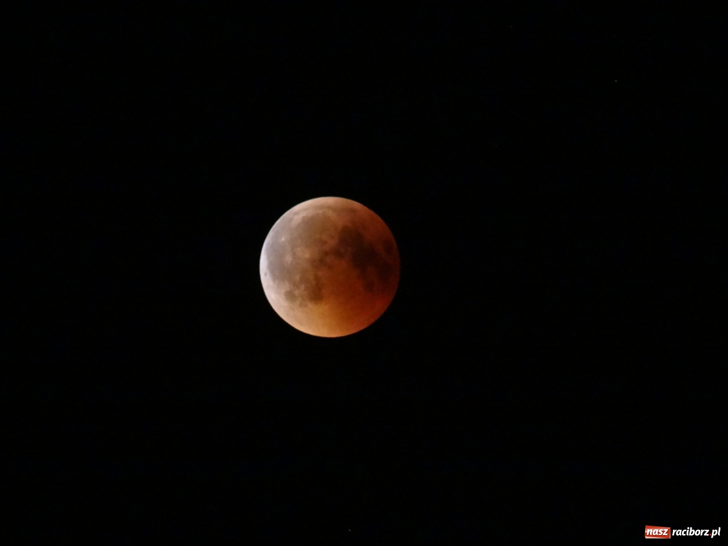 Zdjęcie w galerii na portalu naszraciborz.pl: Zaćmienie Księżyca nad raciborskimi bulwarami  wiadomości z regionu