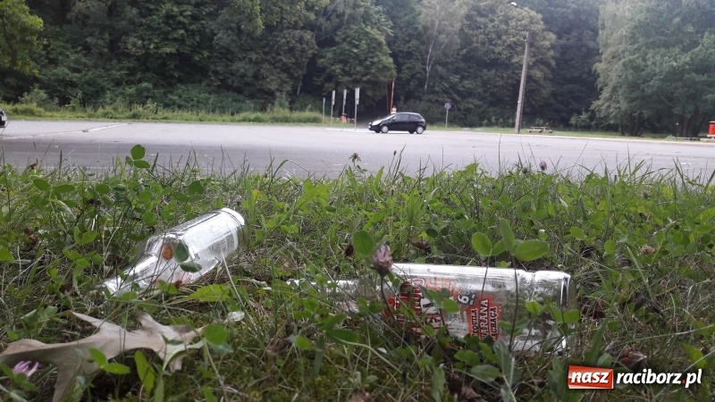 Zdjęcie w galerii na portalu naszraciborz.pl: Ludzie brudzą na potęgę, służby nie sprzątają  wiadomości z regionu