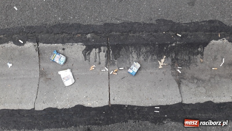 Zdjęcie w galerii na portalu naszraciborz.pl: Ludzie brudzą na potęgę, służby nie sprzątają  wiadomości z regionu
