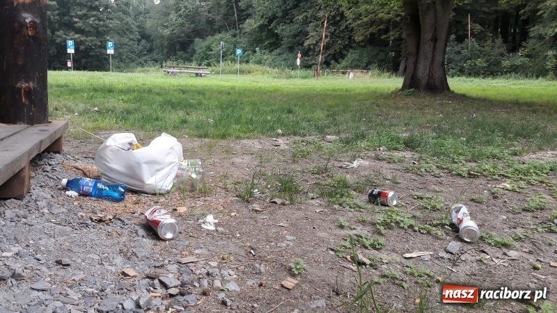 Zdjęcie w galerii na portalu naszraciborz.pl: Ludzie brudzą na potęgę, służby nie sprzątają  wiadomości z regionu