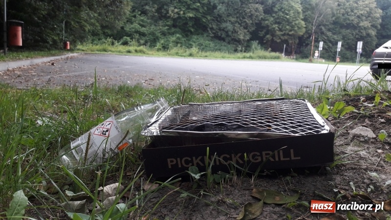 Zdjęcie w galerii na portalu naszraciborz.pl: Ludzie brudzą na potęgę, służby nie sprzątają  wiadomości z regionu