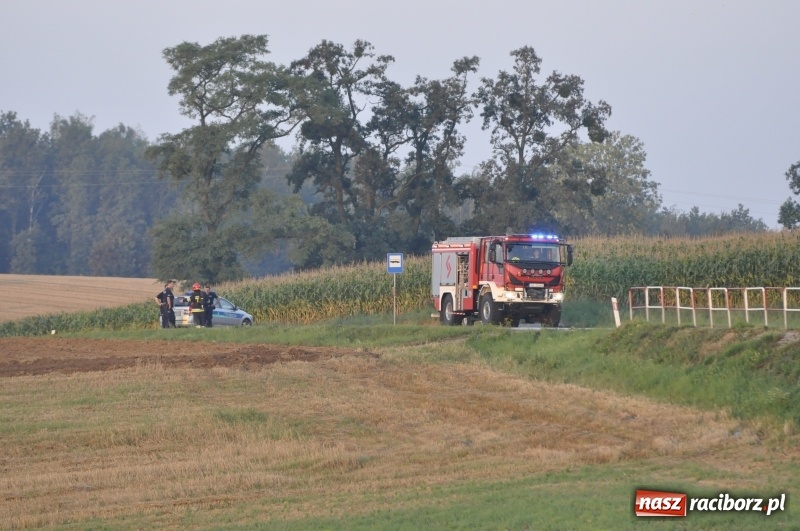 Zdjęcie w galerii na portalu naszraciborz.pl: Ponad pół miliona złotych strat w pożarze naczepy na DK 45  wiadomości z regionu