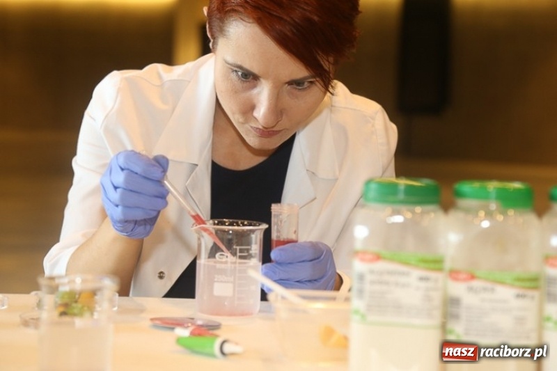 Zdjęcie w galerii na portalu naszraciborz.pl: Energia hasłem trzeciej edycji Śląskiego Festiwalu Nauki wiadomości z regionu