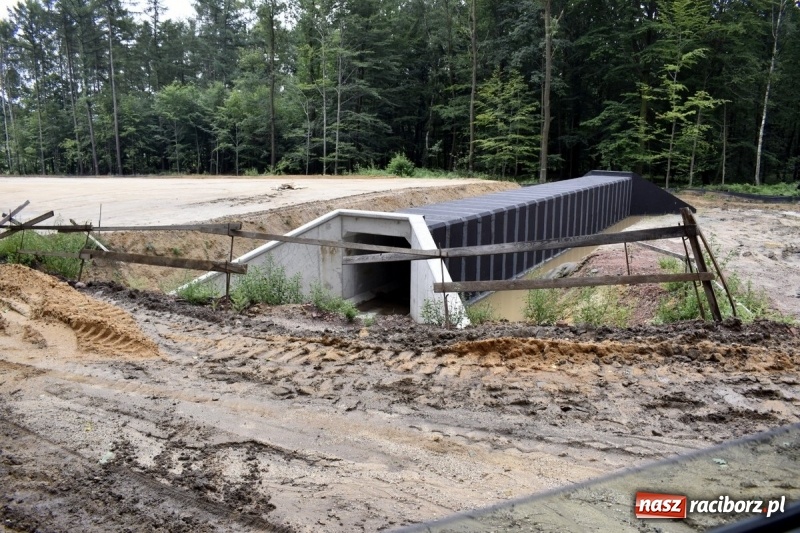 Zdjęcie w galerii na portalu naszraciborz.pl: Gotowy jest pierwszy kilometr drogi Racibórz-Pszczyna wiadomości z regionu
