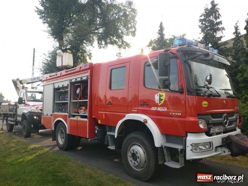 Zdjęcie w galerii na portalu naszraciborz.pl: Środa upłynęła strażakom pod znakiem usuwania owadzich gniazd wiadomości z regionu