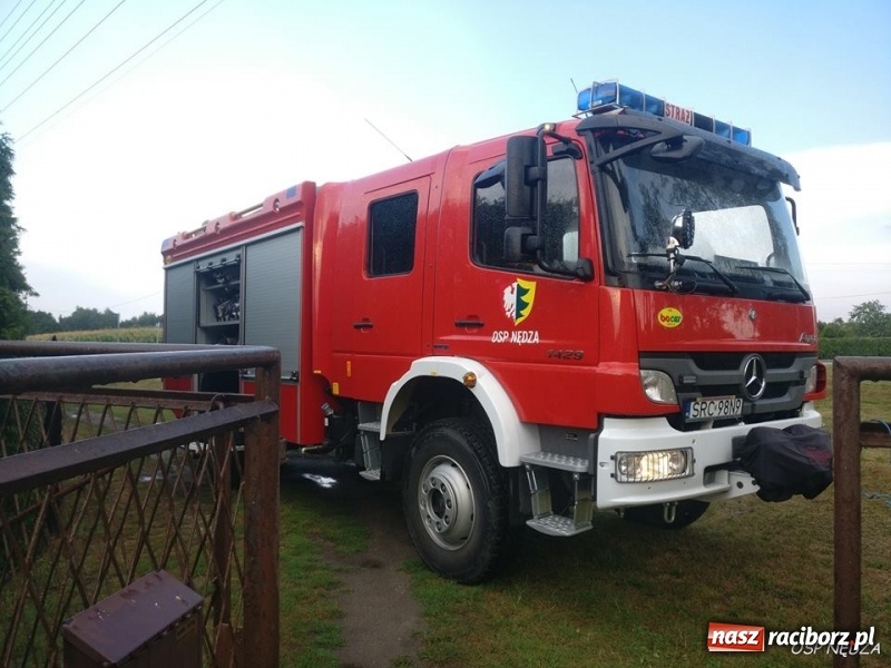 Zdjęcie w galerii na portalu naszraciborz.pl: Środa upłynęła strażakom pod znakiem usuwania owadzich gniazd wiadomości z regionu