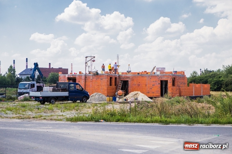 Zdjęcie w galerii na portalu naszraciborz.pl: W strefie gospodarczej przy Bartka Lasoty trwa już budowa hal i magazynów  wiadomości z regionu