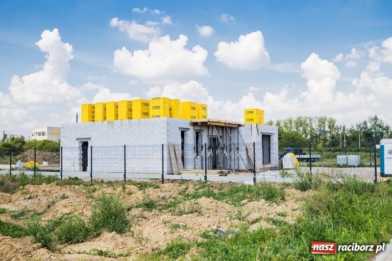 Zdjęcie w galerii na portalu naszraciborz.pl: W strefie gospodarczej przy Bartka Lasoty trwa już budowa hal i magazynów  wiadomości z regionu