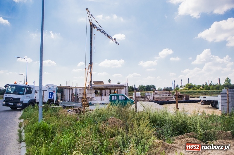 Zdjęcie w galerii na portalu naszraciborz.pl: W strefie gospodarczej przy Bartka Lasoty trwa już budowa hal i magazynów  wiadomości z regionu