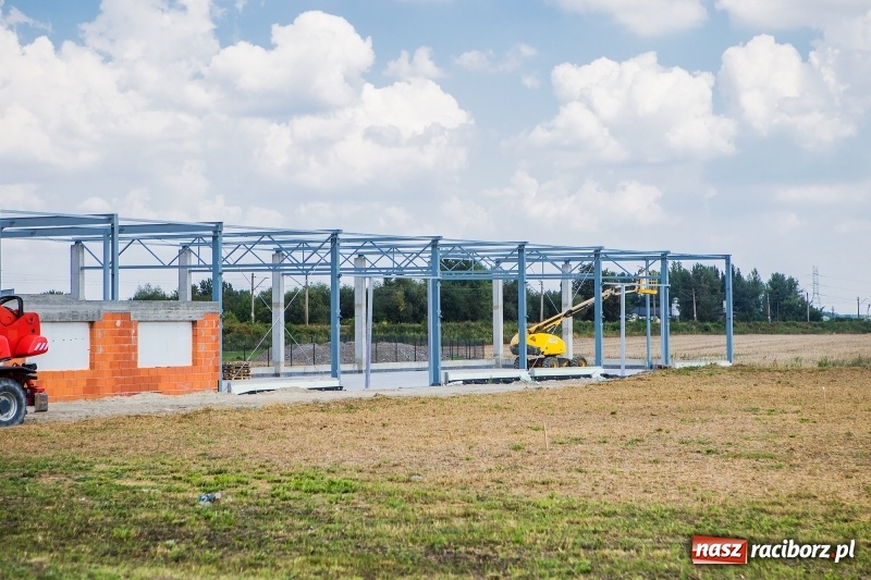 Zdjęcie w galerii na portalu naszraciborz.pl: W strefie gospodarczej przy Bartka Lasoty trwa już budowa hal i magazynów  wiadomości z regionu