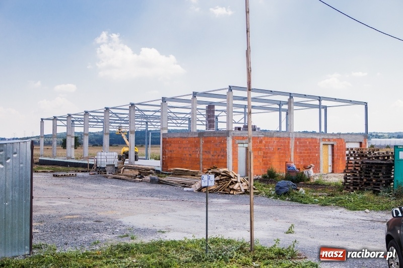 Zdjęcie w galerii na portalu naszraciborz.pl: W strefie gospodarczej przy Bartka Lasoty trwa już budowa hal i magazynów  wiadomości z regionu