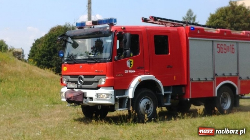 Zdjęcie w galerii na portalu naszraciborz.pl: Kolejny pożar lasu w Kuźni Raciborskiej  wiadomości z regionu
