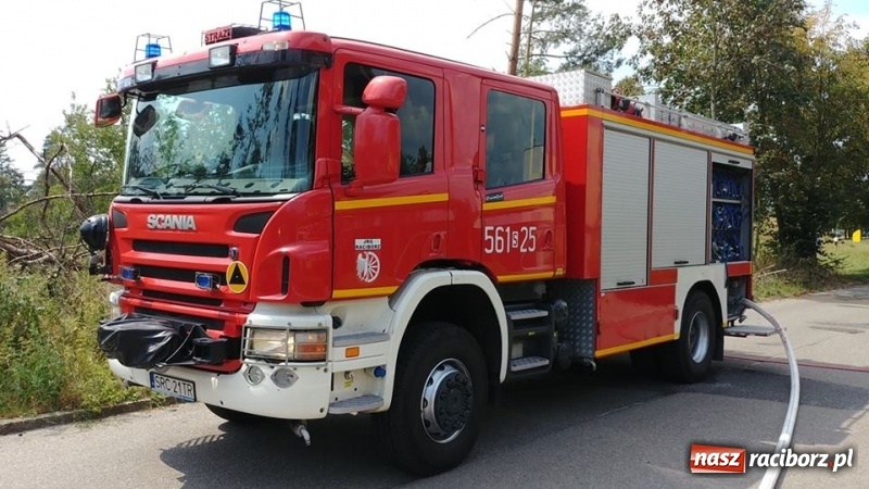 Zdjęcie w galerii na portalu naszraciborz.pl: Kolejny pożar lasu w Kuźni Raciborskiej  wiadomości z regionu