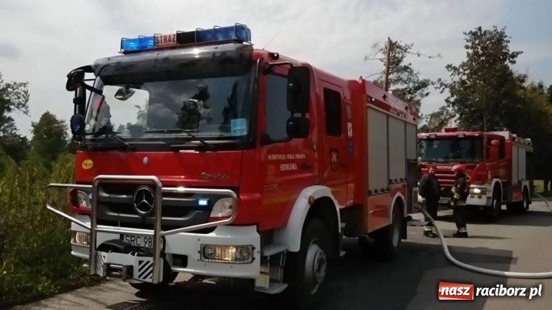 Zdjęcie w galerii na portalu naszraciborz.pl: Kolejny pożar lasu w Kuźni Raciborskiej  wiadomości z regionu