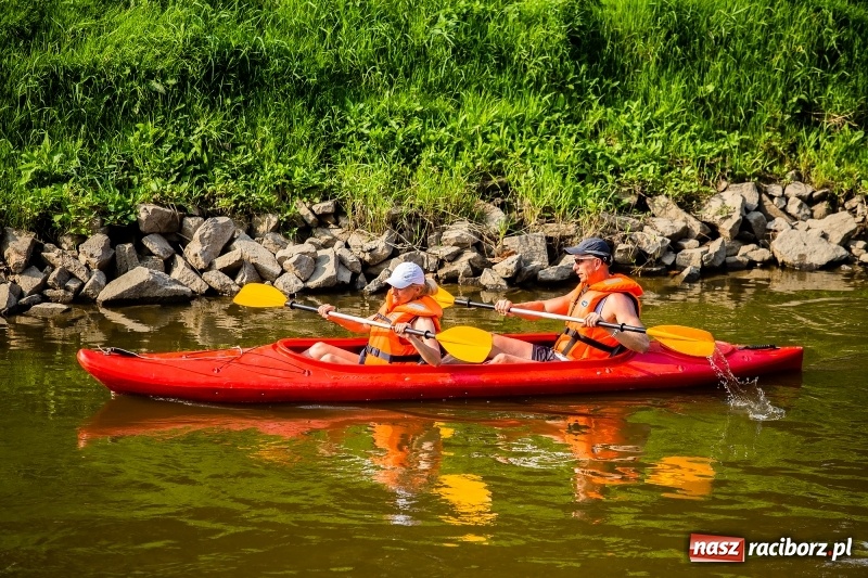 Zdjęcie w galerii na portalu naszraciborz.pl: Z nurtem Odry i w górę Ulgi, czyli spływ kajakowy Pętlą Diabeusza wiadomości z regionu