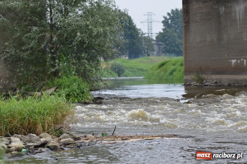Zdjęcie w galerii na portalu naszraciborz.pl: Z nurtem Odry i w górę Ulgi, czyli spływ kajakowy Pętlą Diabeusza wiadomości z regionu