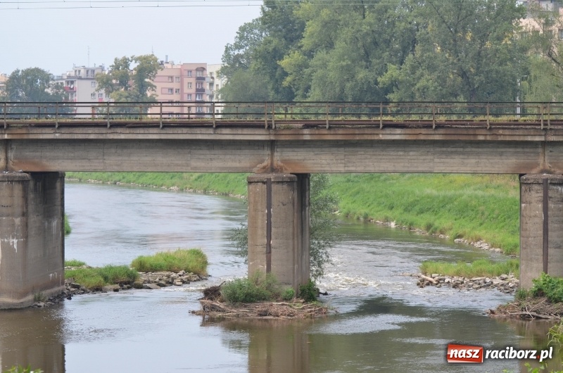 Zdjęcie w galerii na portalu naszraciborz.pl: Z nurtem Odry i w górę Ulgi, czyli spływ kajakowy Pętlą Diabeusza wiadomości z regionu