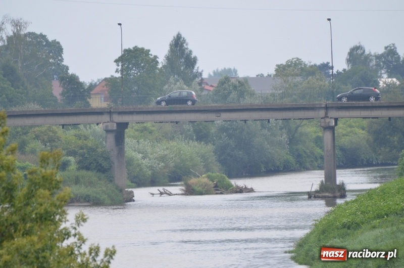 Zdjęcie w galerii na portalu naszraciborz.pl: Z nurtem Odry i w górę Ulgi, czyli spływ kajakowy Pętlą Diabeusza wiadomości z regionu