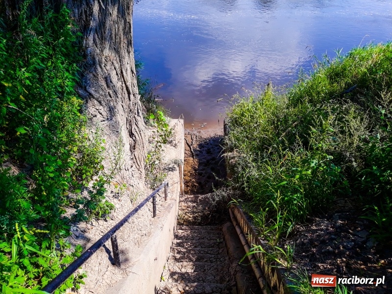 Zdjęcie w galerii na portalu naszraciborz.pl: Odra pod Raciborzem dziś i na starych mapach  wiadomości z regionu