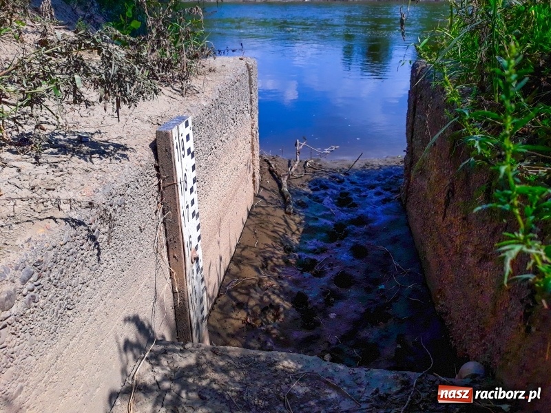 Zdjęcie w galerii na portalu naszraciborz.pl: Odra pod Raciborzem dziś i na starych mapach  wiadomości z regionu