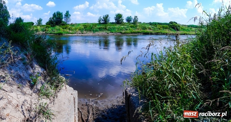 Zdjęcie w galerii na portalu naszraciborz.pl: Odra pod Raciborzem dziś i na starych mapach  wiadomości z regionu