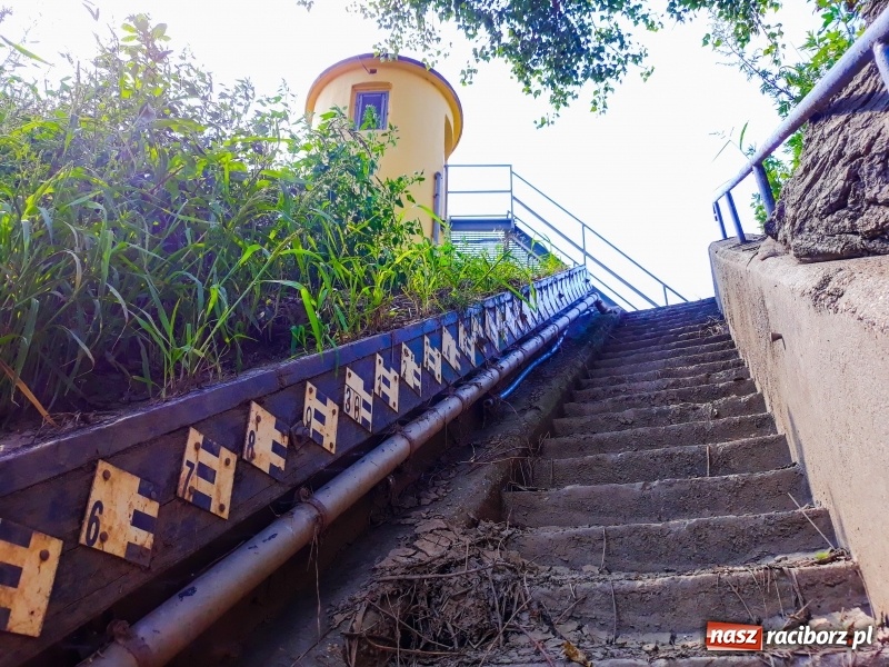 Zdjęcie w galerii na portalu naszraciborz.pl: Odra pod Raciborzem dziś i na starych mapach  wiadomości z regionu