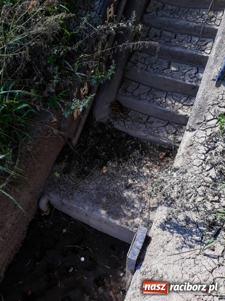 Zdjęcie w galerii na portalu naszraciborz.pl: Odra pod Raciborzem dziś i na starych mapach  wiadomości z regionu