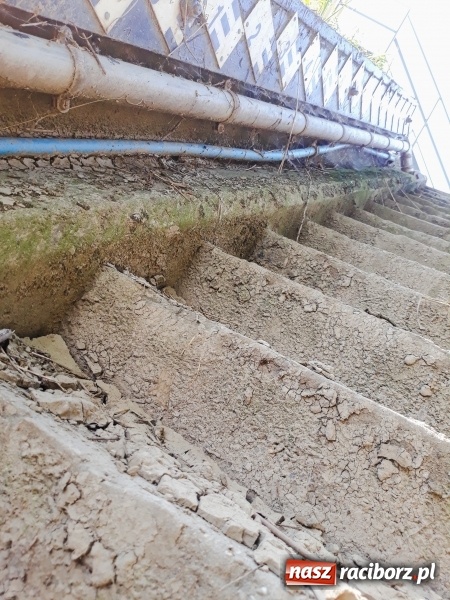 Zdjęcie w galerii na portalu naszraciborz.pl: Odra pod Raciborzem dziś i na starych mapach  wiadomości z regionu