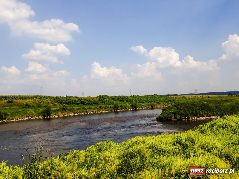 Zdjęcie w galerii na portalu naszraciborz.pl: Odra pod Raciborzem dziś i na starych mapach  wiadomości z regionu