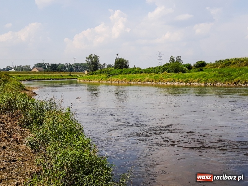Zdjęcie w galerii na portalu naszraciborz.pl: Odra pod Raciborzem dziś i na starych mapach  wiadomości z regionu