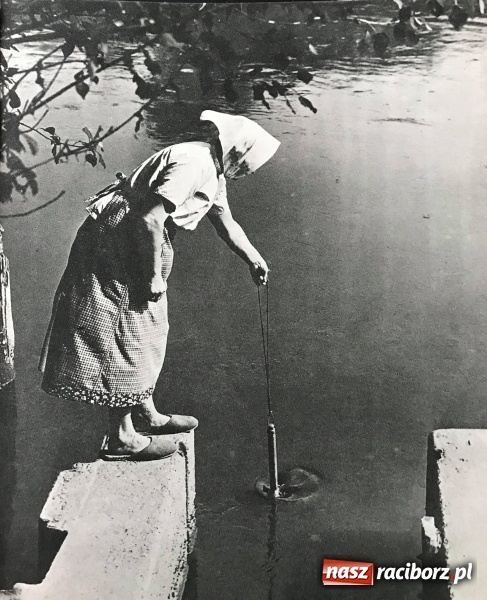 Zdjęcie w galerii na portalu naszraciborz.pl: Odra pod Raciborzem dziś i na starych mapach  wiadomości z regionu