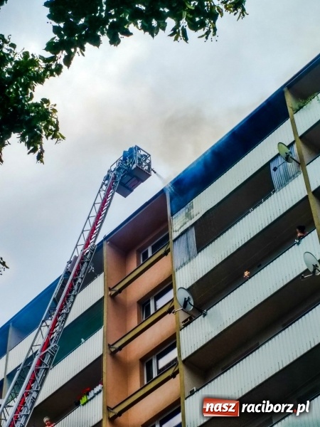 Zdjęcie w galerii na portalu naszraciborz.pl: Racibórz. Pożar na dziesiątym piętrze w bloku przy ul. Mysłowickiej FOTO i WIDEO wiadomości z regionu