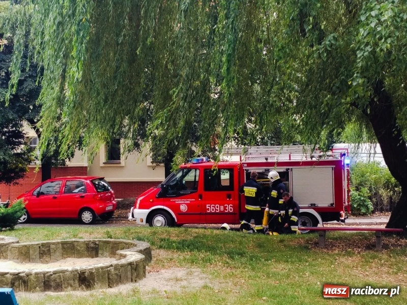 Zdjęcie w galerii na portalu naszraciborz.pl: Racibórz. Pożar na dziesiątym piętrze w bloku przy ul. Mysłowickiej FOTO i WIDEO wiadomości z regionu