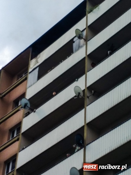 Zdjęcie w galerii na portalu naszraciborz.pl: Racibórz. Pożar na dziesiątym piętrze w bloku przy ul. Mysłowickiej FOTO i WIDEO wiadomości z regionu