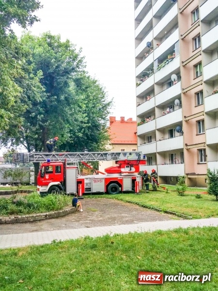 Zdjęcie w galerii na portalu naszraciborz.pl: Racibórz. Pożar na dziesiątym piętrze w bloku przy ul. Mysłowickiej FOTO i WIDEO wiadomości z regionu