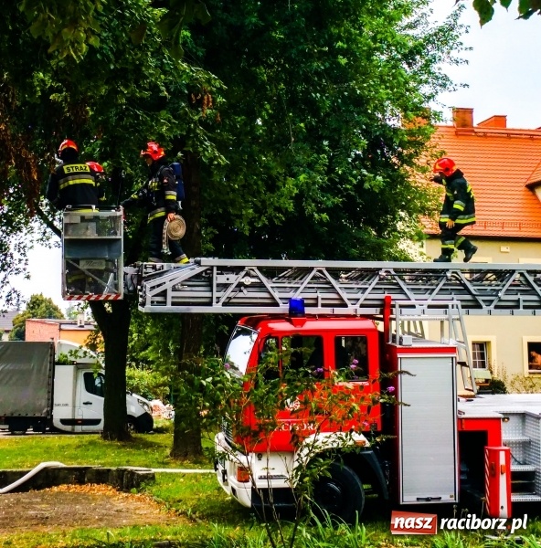 Zdjęcie w galerii na portalu naszraciborz.pl: Racibórz. Pożar na dziesiątym piętrze w bloku przy ul. Mysłowickiej FOTO i WIDEO wiadomości z regionu